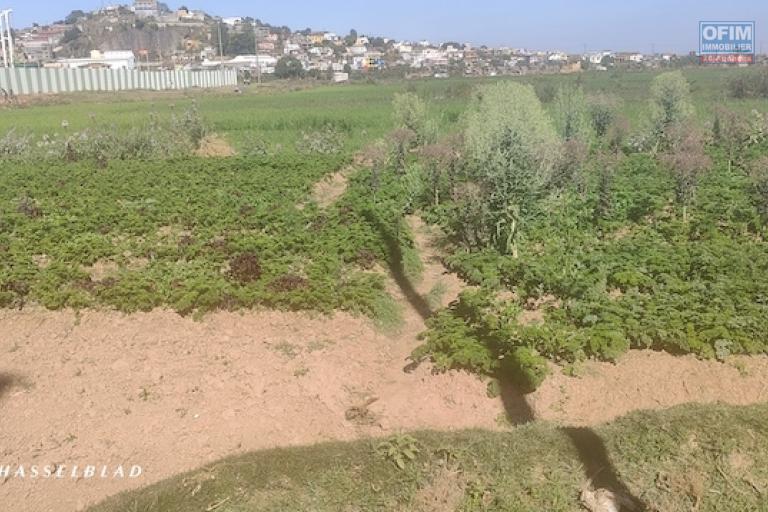 A vendre terrain de 1000 M2 &agrave; Andranomena contact  MR Jacky