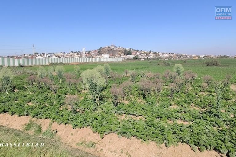 A vendre terrain de 1000 M2 à Andranomena contact MR Jacky