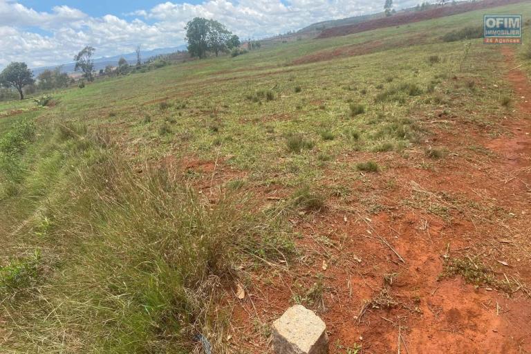 Vente d'un terrain de 7 002 m2 &agrave; Arivonimamo
