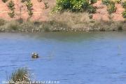 a vendre terrain exceptionnel pieds dans l'eau de 1HA contact Mr Jacky