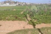 A vendre terrain de 1000 M2 à Andranomena contact MR Jacky