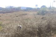 A vendre terrain 14440 M2 &agrave; Andakana ambohidratrimo contact  Mr Jacky