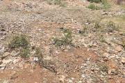 RARE A vendre terrain de 2143 M2 Bord de la boulevard d'europe contact rapide Mr Jacky