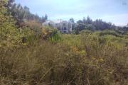 A vendre, un terrain de 800 m2 dans un lotissement &agrave; Alasora Antananarivo