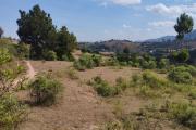 A vendre, grand terrain de 8194 m2 &agrave; 3 min de l'autoroute &agrave; Ambohimanga Antananarivo