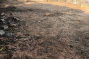 A louer un terrain de 1 500 m2 &agrave; Ilafy Andranovelona