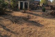 A louer un terrain de 1 500 m2 &agrave; Ilafy Andranovelona
